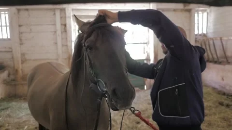 Stable boy taking care of horses. Slow motion. Stock Footage 136508885