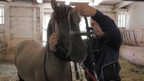 Stable boy taking care of horses. Slow motion. Stock Footage 136509028