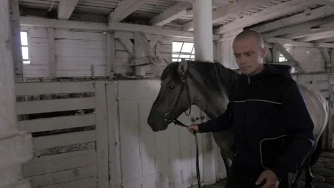Stable boy taking care of horses. Slow motion. Stock Footage 136509680