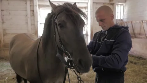 Stable boy taking care of horses. Slow motion. Stock Footage 136510144