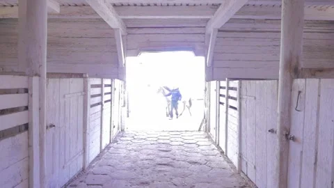 Stable boy taking care of horses. Slow motion. Stock Footage 136511068