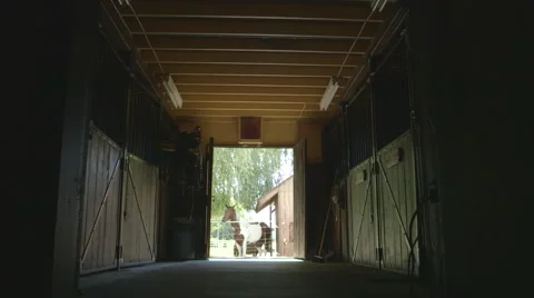 Stable interior lights off Stock Footage 63882136