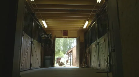 Stable interior lights on Stock Footage 63882214