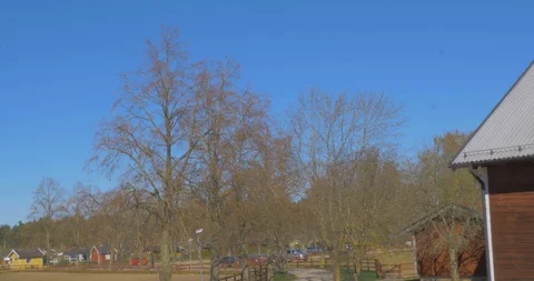 Stable Pan 库存影片 128957775