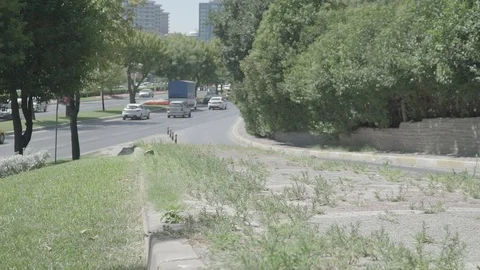 Stable Shot Roadside Stock Footage 94070757