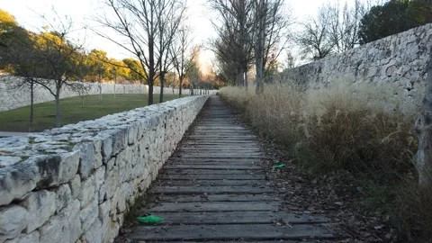 Stable shot walking POV through a path in a park surrounded by nature Stock Footage 146956363