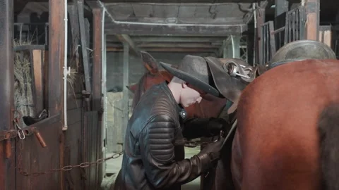 Stable training with leather gear. Man learning to handle horse and reins 動画素材 333320875