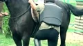 stableman rides a horse 4k or 4k+ Resolution