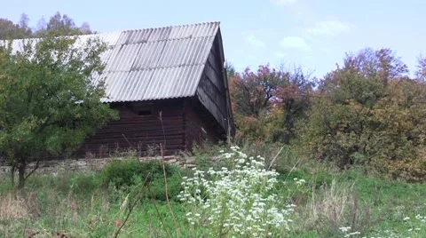 Stables built in the middle of an orchard 34 Stock Footage 58286789