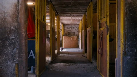 Stables indoor.mov Stock Footage 163471922