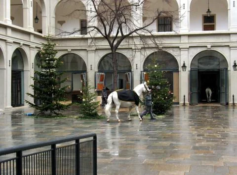 This is stables in Vienna Stock Photos