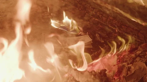 A Stack of 100 Dollar Bills Burning on Embers in a Bonfire Stock Footage 208798883