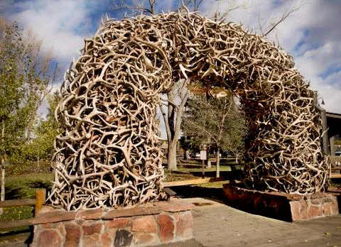 Stack of Antlers from the Elk reserve Fotos de archivo
