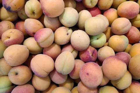 Stack of Apricots on a market stall Stock Photos