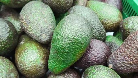 Stack of avocado in grocery store. Industry of selling products Stock Footage 155093597
