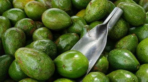 Stack of Avocado with metal Scoop Stock Photos