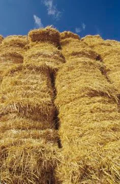 Stack of Bales of Hay Stockfoto's