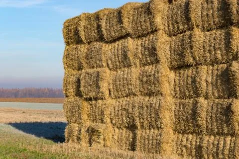 Stack of bales of straw Stock Photos