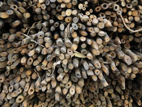 Stack of bamboo cross slice for sale Stock Photos