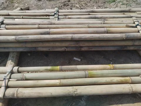 A stack of bamboo poles at the edge of the rice field. 스톡 사진