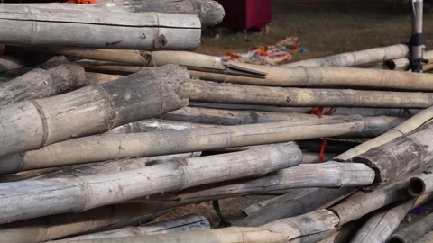 Stack of bamboo poles piled together, natural bamboo sticks for pandal cons.. Stock Footage 346729862