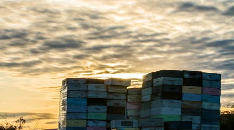 Stack of beehive boxes in bee farm Stock Footage 50176055