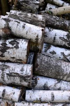 A stack of birch logs - wooden background, lumbering Stock Photos