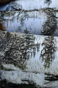 A stack of birch logs - wooden storage lumber vertical background Stock Photos