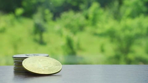Stack of Bitcoin gold and silver coins on wooden table with nature view Stock Footage 198677451