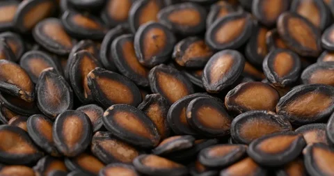 Stack of black melon seed Stock Footage 106269669