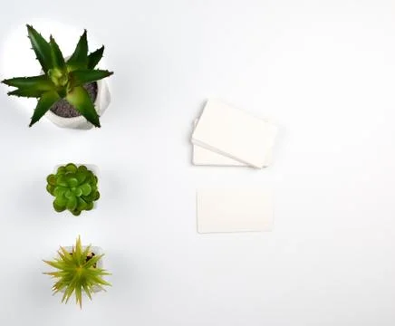 Stack of blank rectangular paper white business cards Stock Photos