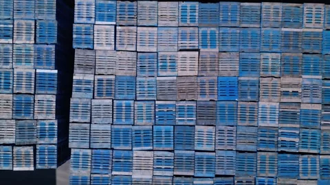 Stack of blue pallets. industrial transportation Stock Footage 244510467