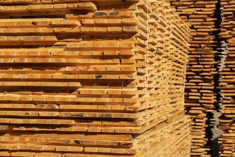 A stack of boards. The boards are stacked on the sawmill. 库存照片