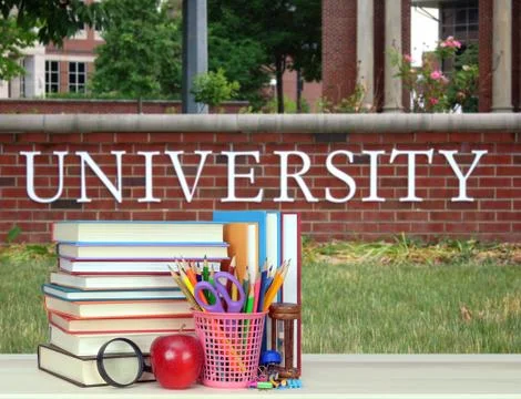 Stack of book in the front of university Foto stock