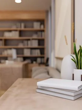 A stack of books and decorative plants are on a table in a modern contempor.. Stock Photos