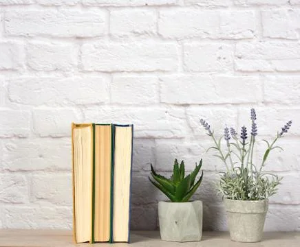 Stack of books and flowers in ceramic pots on a white brick wall background Stock Photos