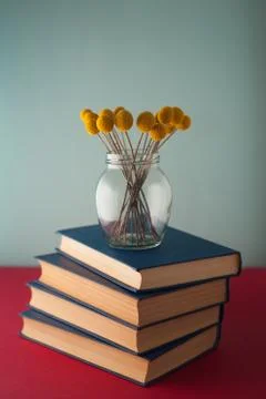 Stack of books and flowers Stock Photos