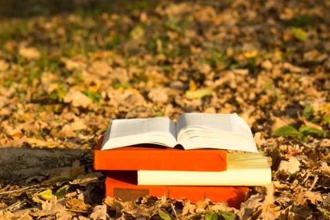 Stack of books and Open hardback book on blurred nature landscape backdrop. Copy Stock Photos