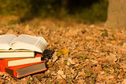 Stack of books and Open hardback book on blurred nature landscape backdrop. Copy Photos