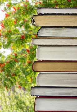 A stack of books on a background of mountain ash Stock Photos