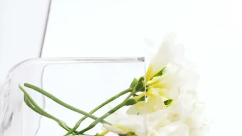 Stack of books, blank board, flower vase, cup of tea and table lamp Stock Footage 300428647