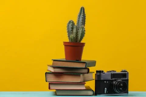 Stack of books with cactus and camera on yellow background 库存照片