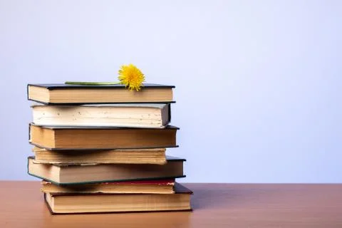 A stack of books with dandelion on top on a table Stock Photos