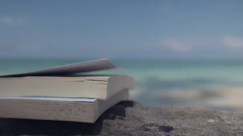 Stack of Books Resting on Driftwood by the Sea Stock Footage 337474598