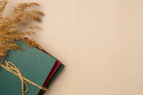 Stack of books with spikelet grass on a beige background. Leisure concept, re Stock Photos