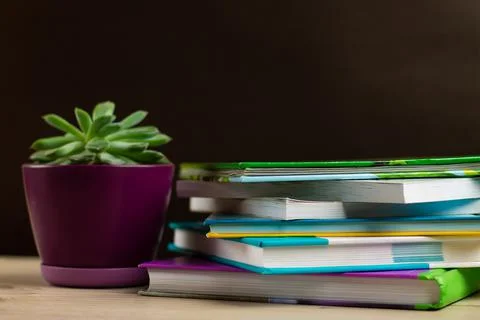 Stack of books on a table and a pot with a succulent plant. Copyspace. Home s Foto stock