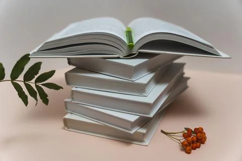 A stack of books on the table on a light pink background, study, back to scho Stock Photos