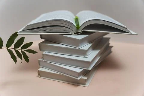 A stack of books on the table on a light pink background, study, back to sc.. Stock Photos