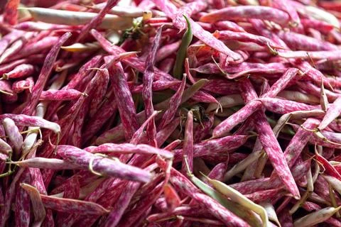 Stack of Borlotti beans on a market stall Stock Photos