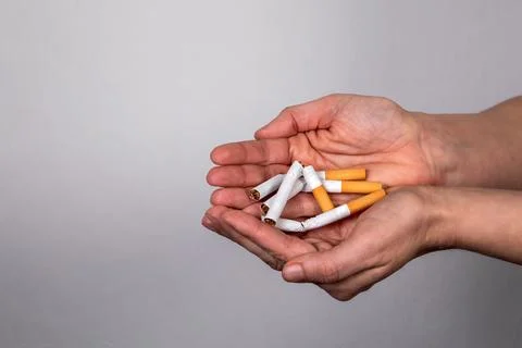 Stack of broken cigarettes in a woman's hands. Quit smoking Stock Photos